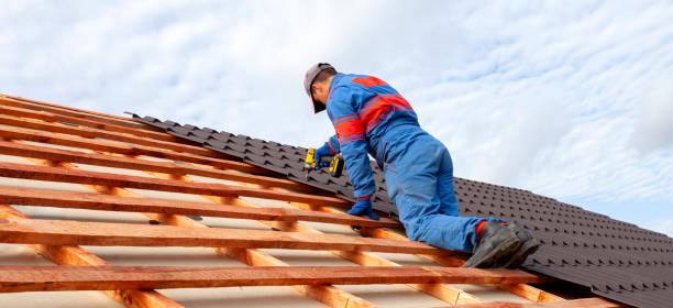 Best Roof Moss and Algae Removal  in Oak Grove, MO